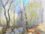 Dartmoor Woodland