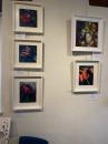 Framed Flowers 1